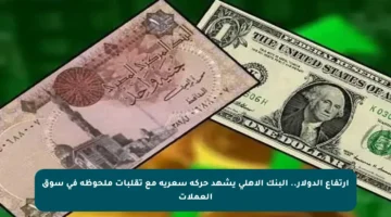 ارتفاع الدولار.. البنك الأهلي يشهد حركة سعرية مع تقلبات ملحوظة في سوق العملات